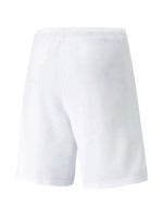 Pánské kraťasy teamRISE Short M 704942 03 - Puma