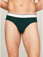 Pánské spodní prádlo Close to Body Spodní díl BRIEF model 20197482 - Tommy Hilfiger