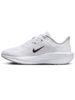 Boty Nike Quest 6 M FD6033-100