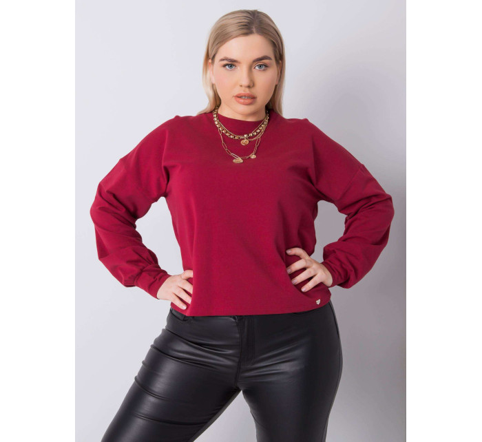 Obyčejná hnědá mikina plus size