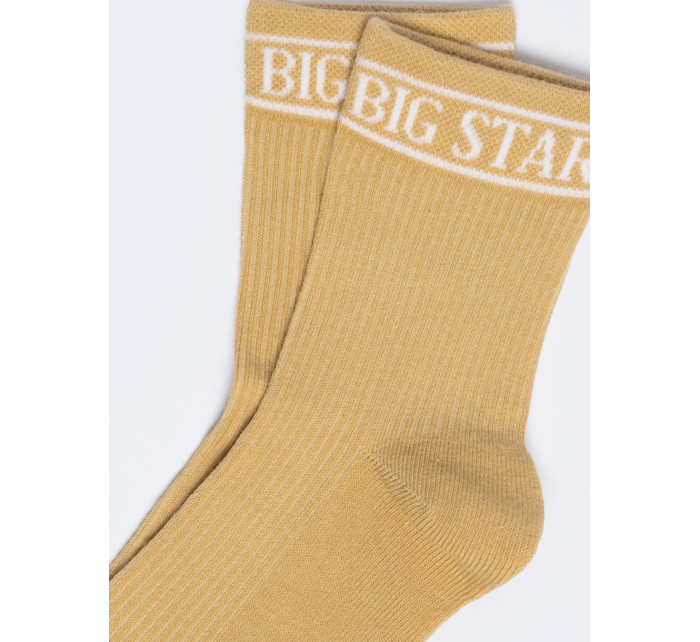 Big Star Standard Ponožky 210494 Gold 801