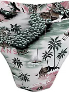 Close to Body Dámské bikiny BRAZILIAN PRINT model 20197507 - Tommy Hilfiger