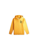 O'Neill Future Surf Society Hoodie Jr 92800614979