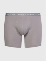 Pánské spodní prádlo 3P BOXER BRIEF UM0UM022040TG - Tommy Hilfiger