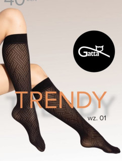 Gatta Knee Socks 01 40 DEN kolor:nero