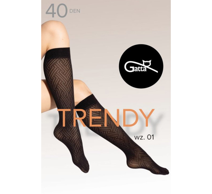 Gatta Knee Socks 01 40 DEN kolor:nero