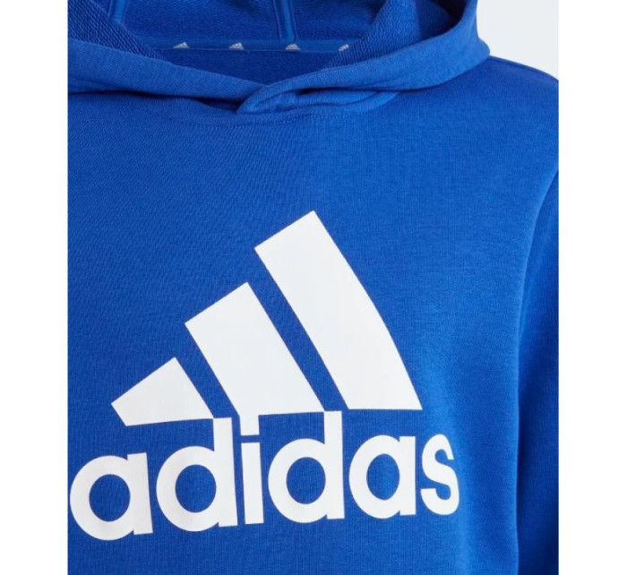 Adidas Big Logo Essentials Hoodie Jr IC6834