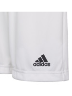 Dětské šortky Entrada 22 Short Y Jr HG6292 - Adidas