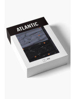 model 20549386 - Atlantic