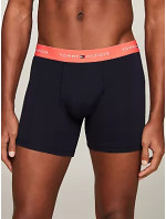 Pánské kalhoty 3P BOXER BRIEF WB UM0UM027650VH - Tommy Hilfiger