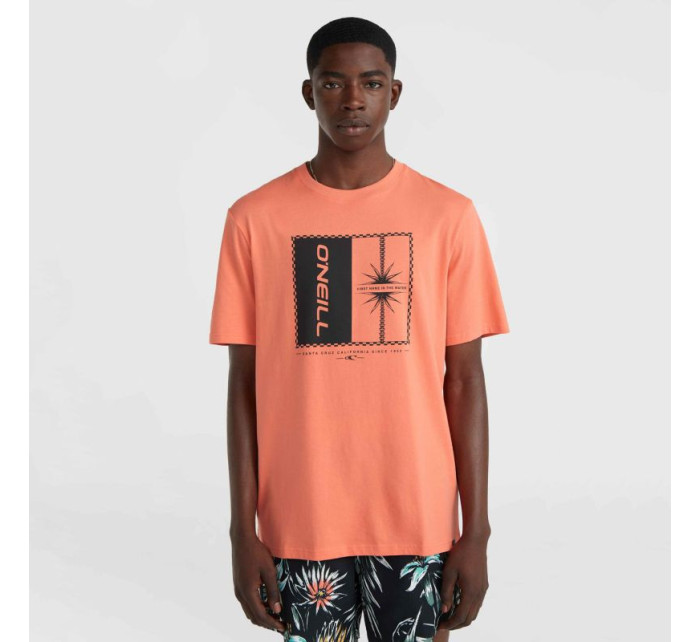 O'Neill Mix & Match Palm TShirt M model 20119157 - ONeill