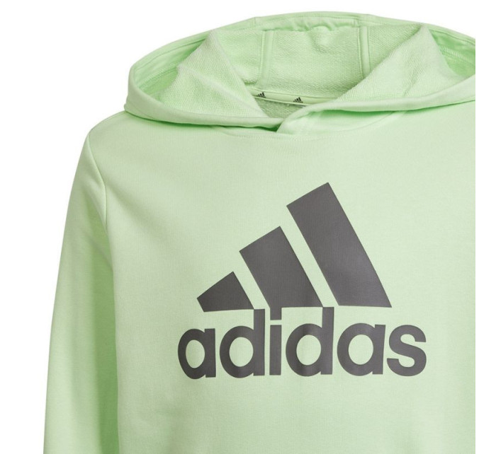 Mikina adidas Big Logo Hoodie Jr IS2591