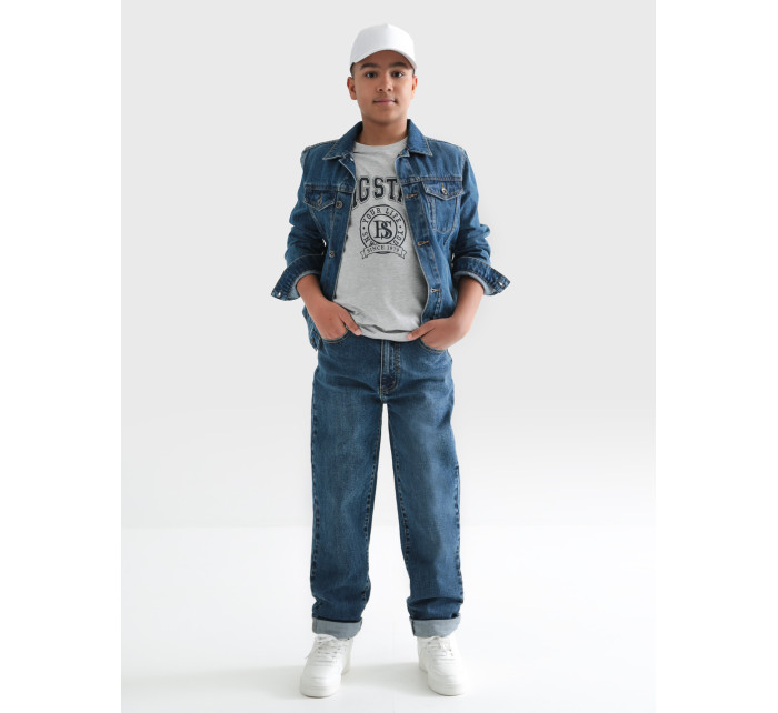 Velké hvězdné volné kalhoty Denim 190098 Střední Denim-482