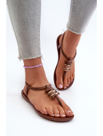 Dámské ploché sandály Ipanema Class Blow Up Sandal Fem Brown