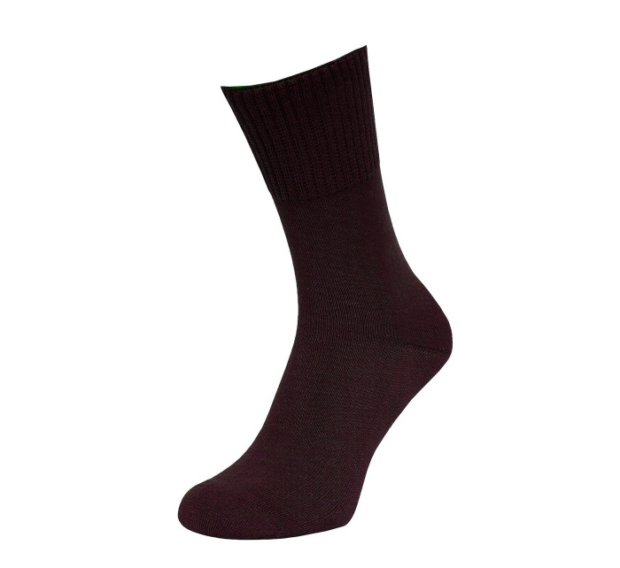 Pánské ponožky  Froté model 7463051 - Regina Socks