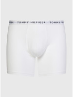 Pánské spodní prádlo 3P BOXER BRIEF UM0UM022040TG - Tommy Hilfiger