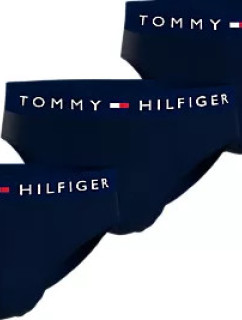 Pánské sáčky na tělo 3P BRIEF UM0UM031820SY - Tommy Hilfiger