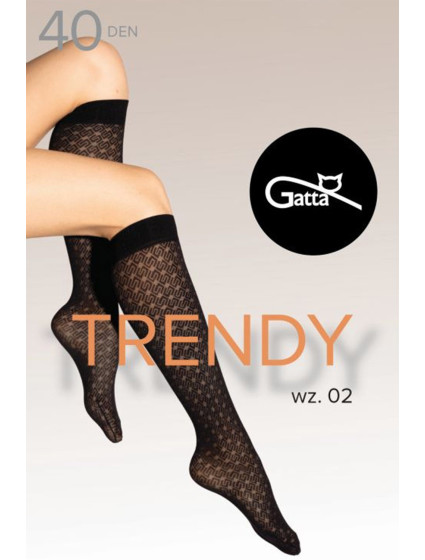 Gatta Knee Socks 02 40 DEN kolor:nero