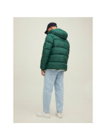 Puffer Jacket M model 19038828 - Jack & Jones