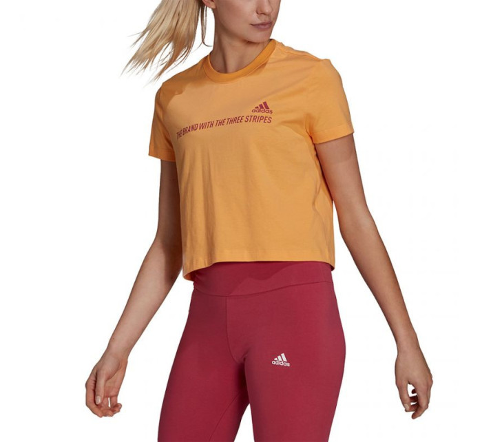 Koszulka adidas Gradient Logo Cropped W GM5579