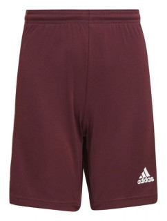 Squadra 21 Short Jr GN8081 - Adidas