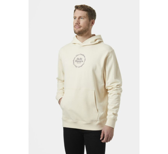 Helly Hansen Core Graphic Sweat Hoodie M 53924 034