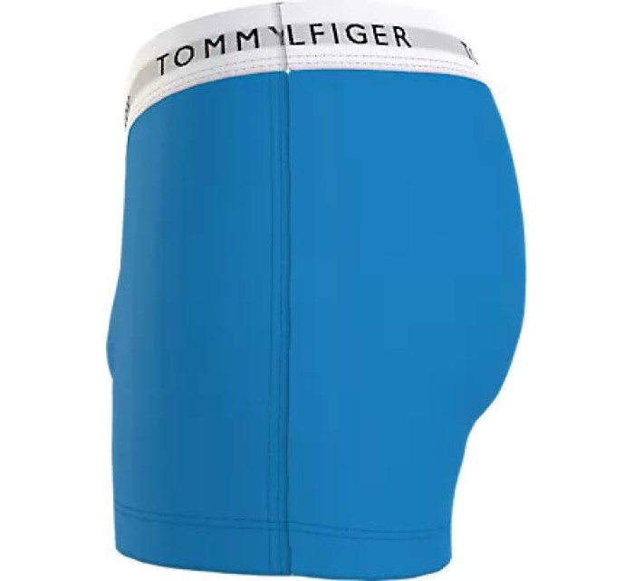 Blízko k tělu Pánské batohy 3P TRUNK model 20211642 - Tommy Hilfiger