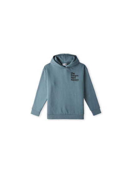 O'Neill Future Surf Society Hoodie Jr 92800614974