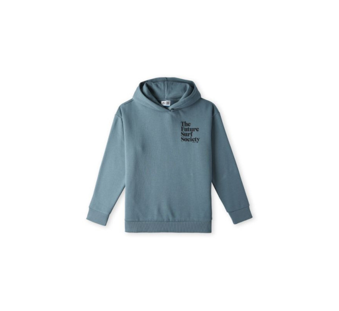 O'Neill Future Surf Society Hoodie Jr 92800614974